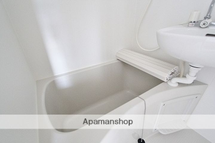 徳島県吉野川市鴨島町上下島の賃貸マンションの風呂