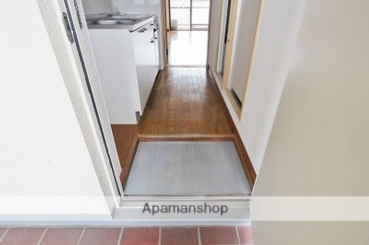 徳島県吉野川市鴨島町上下島の賃貸マンションの玄関