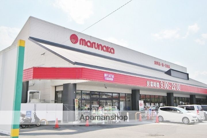 徳島県吉野川市鴨島町上下島の賃貸マンションの周辺