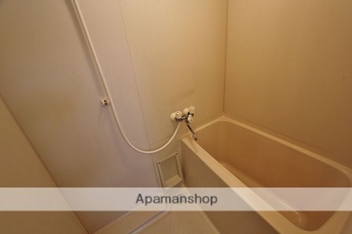 ルシェール川真田204の風呂