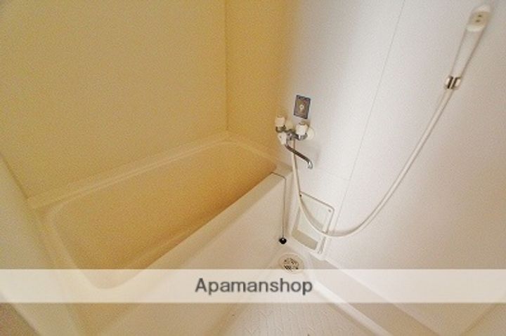 ルシェール川真田303の風呂