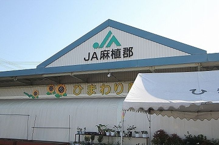 サンフラワー ガーデン A棟の周辺