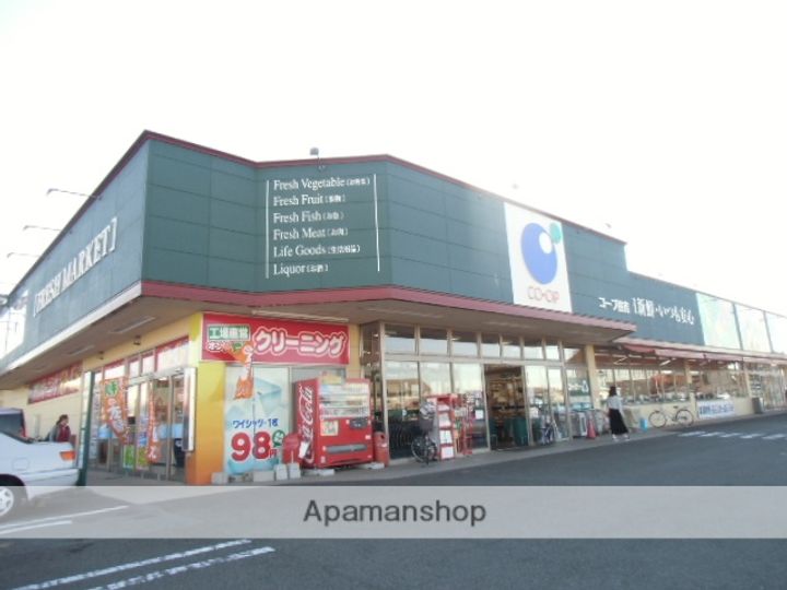 徳島県徳島市南沖洲4丁目の賃貸アパートの周辺