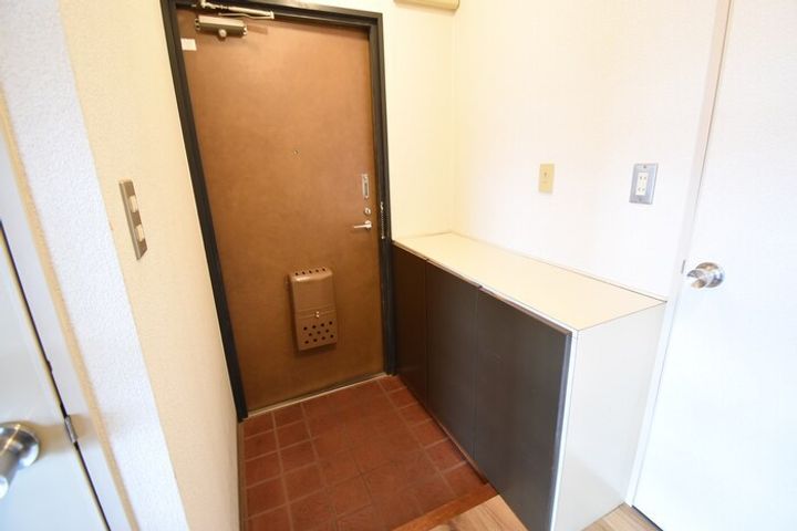 ピュアハイツ306の玄関