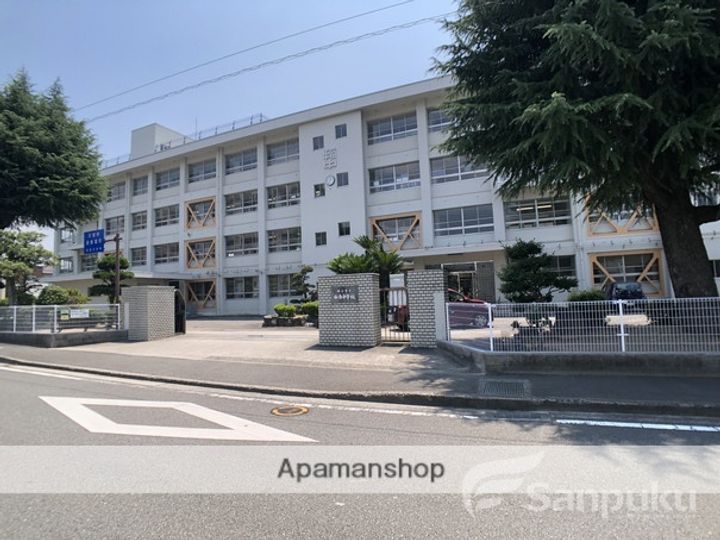 第87杉フラットの周辺