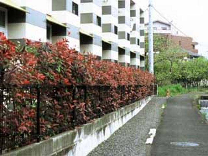 レオパレスゴールド枝松105の外観