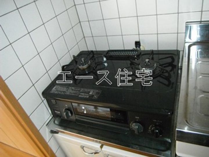 マルイブーゲンビリアのその他画像