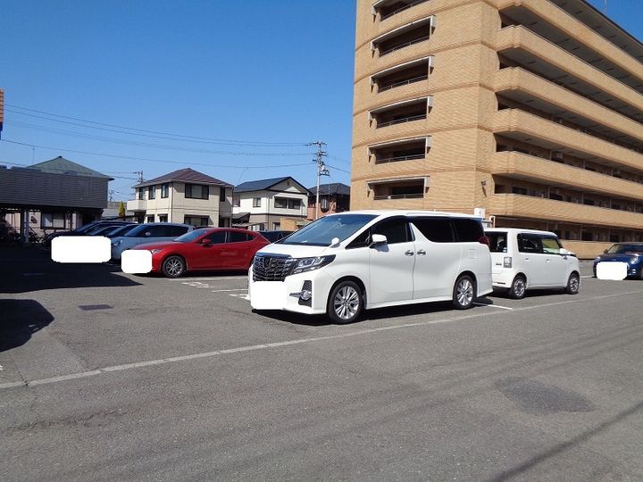 マルイブーゲンビリアのその他画像