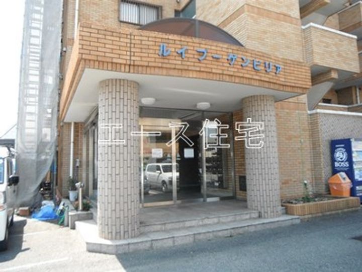 マルイブーゲンビリアのその他画像