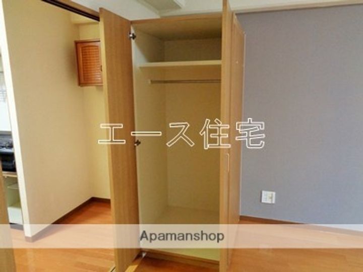 マルイハイビスカスのその他画像