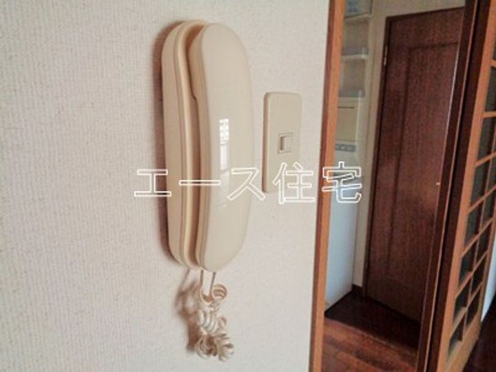 マルイハイビスカスのその他画像