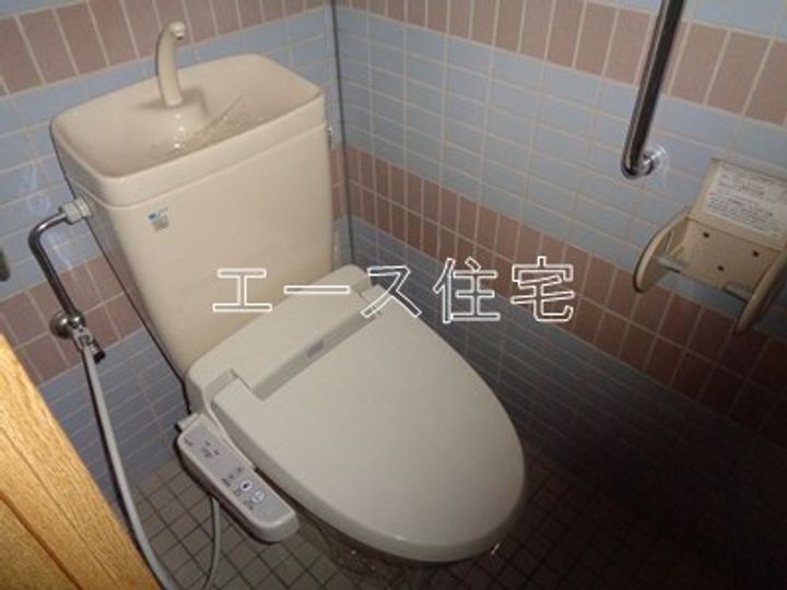 マルイハイビスカスのその他画像