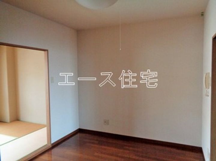 マルイハイビスカスのその他画像