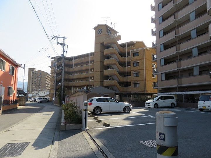 マルイハイビスカスのその他画像