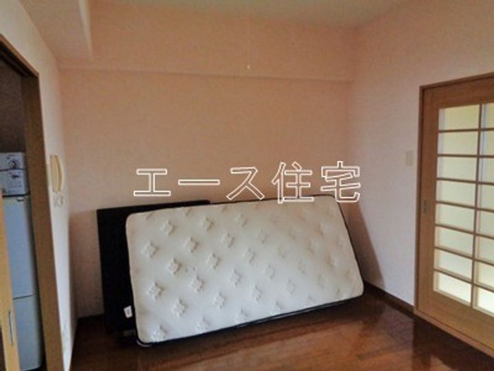 マルイハイビスカスのその他画像