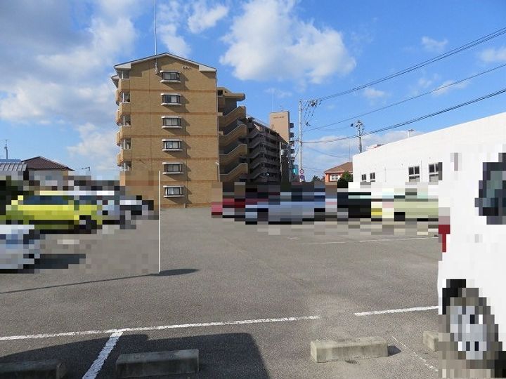 マルイハイビスカスのその他画像