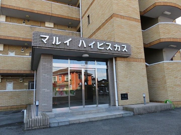 マルイハイビスカスのその他画像