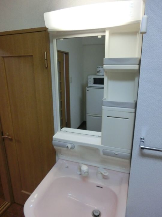 マルイハイビスカスのその他画像