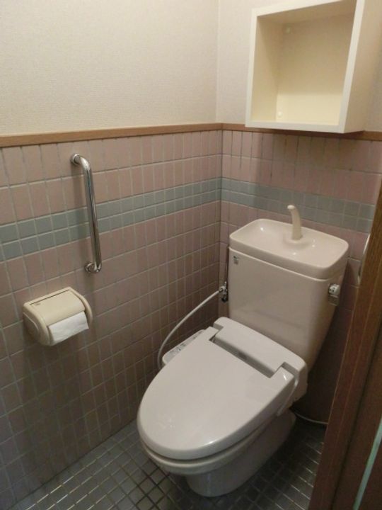 マルイハイビスカスのその他画像
