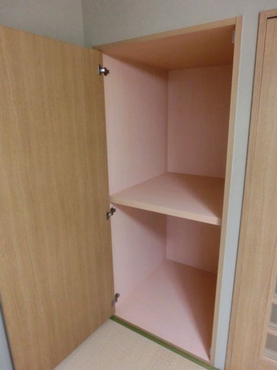 マルイハイビスカスのその他画像