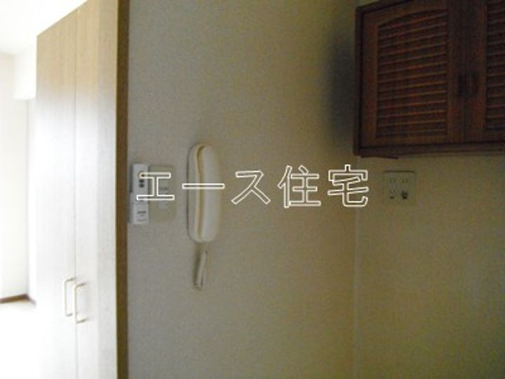 マルイハイビスカスのその他画像