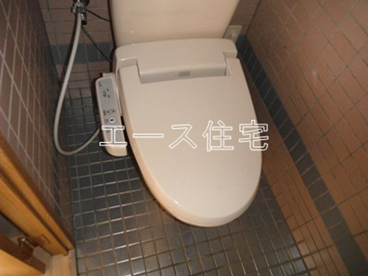 マルイハイビスカスのその他画像