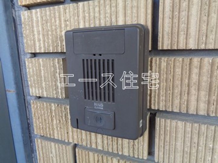 マルイカトレアの外観