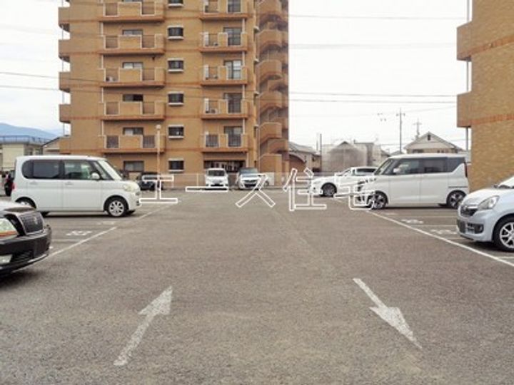 マルイカトレアのその他画像