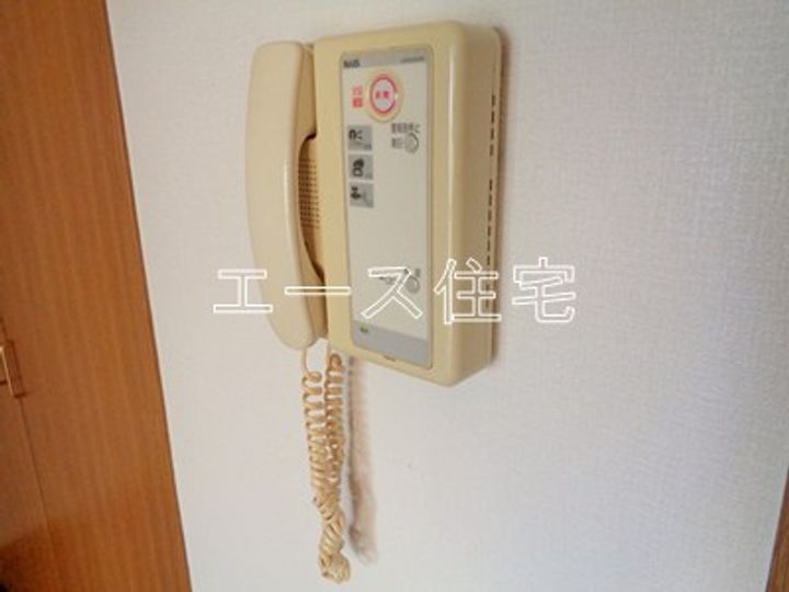 マルイカトレアのその他画像