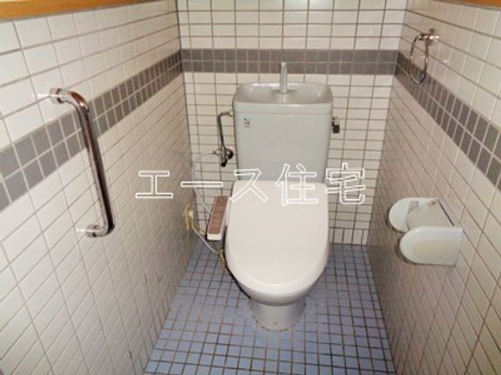 マルイカトレアのその他画像