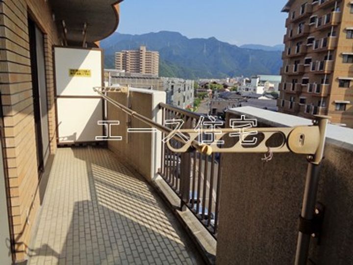 マルイカトレアのその他画像