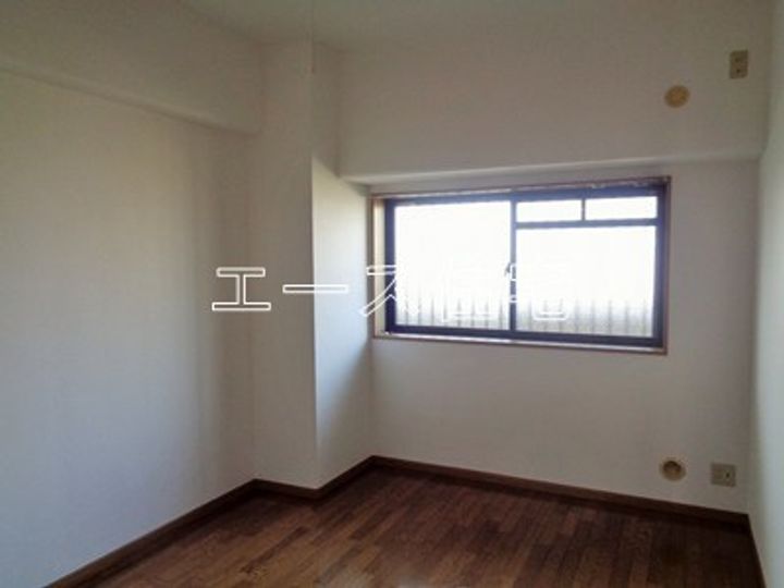 マルイカトレアのその他画像