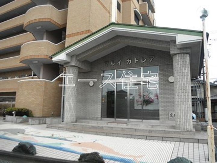 マルイカトレアのその他画像