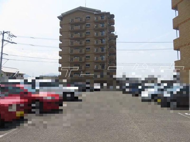 マルイカトレアのその他画像