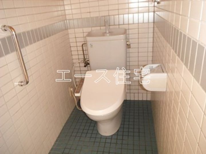 マルイカトレアのその他画像