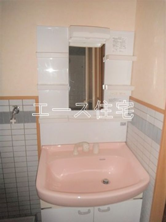 マルイカトレアのその他画像