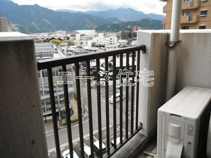 マルイカトレアのその他画像