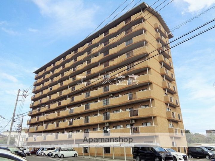 マルイカトレアの外観