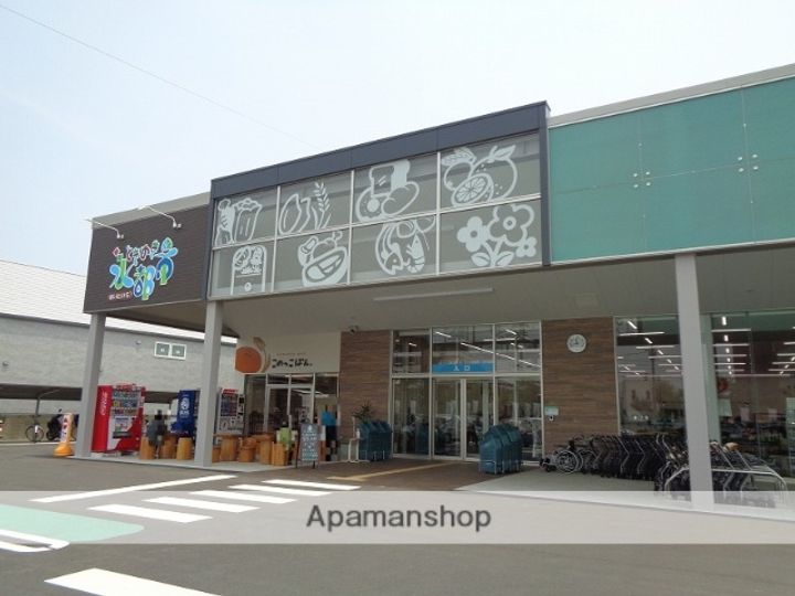 マルイカトレアの周辺