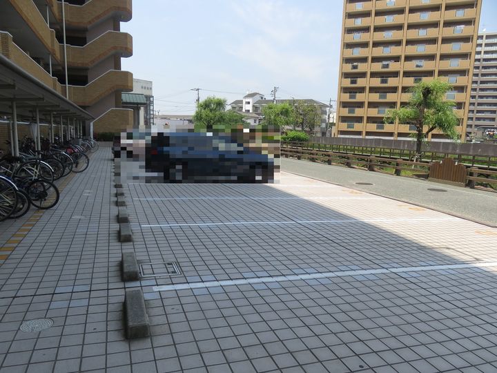 マルイカトレアのその他画像