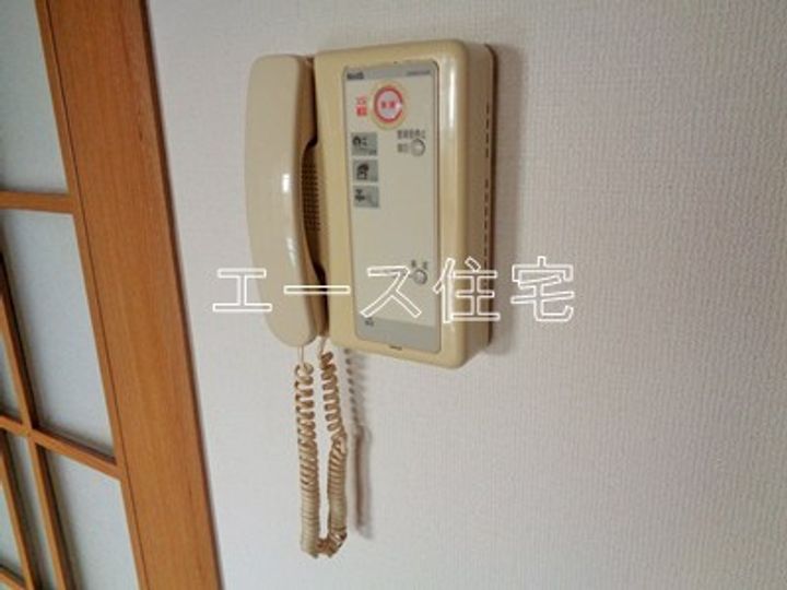 マルイカトレアのその他画像