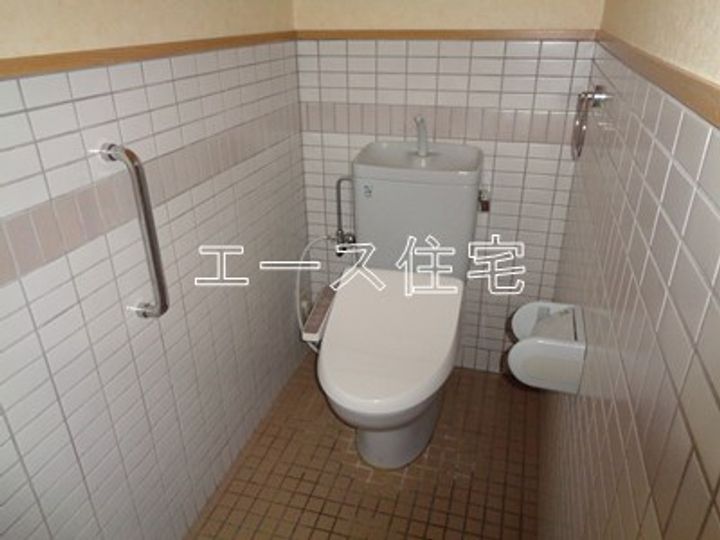 マルイカトレアのその他画像