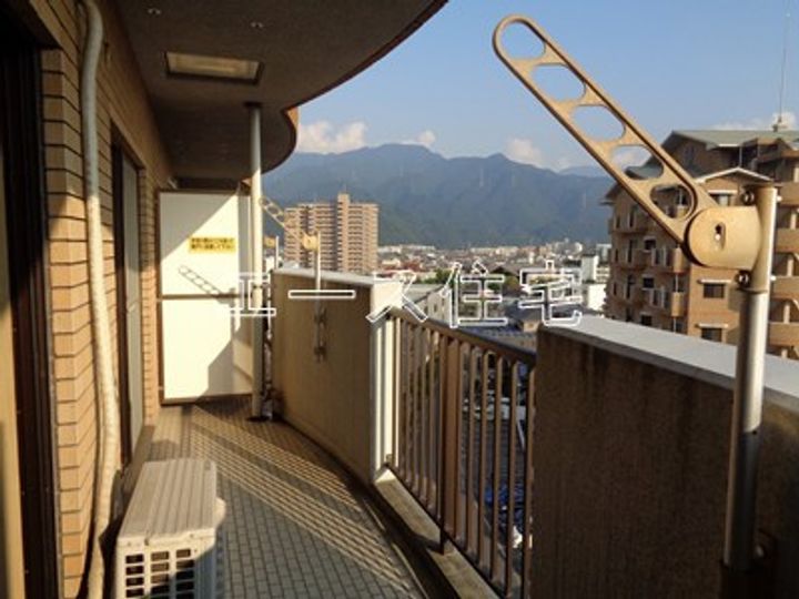 マルイカトレアのその他画像