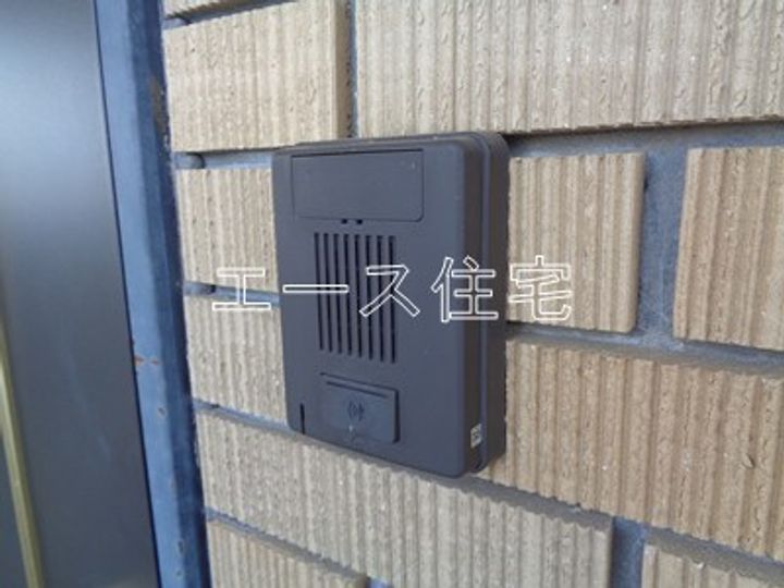 マルイカトレアのその他画像