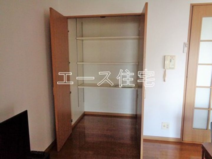 マルイカトレアのその他画像