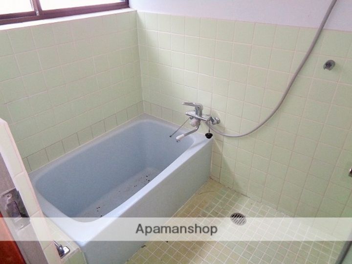 愛媛県西条市氷見乙(一戸建)の賃貸物件の風呂