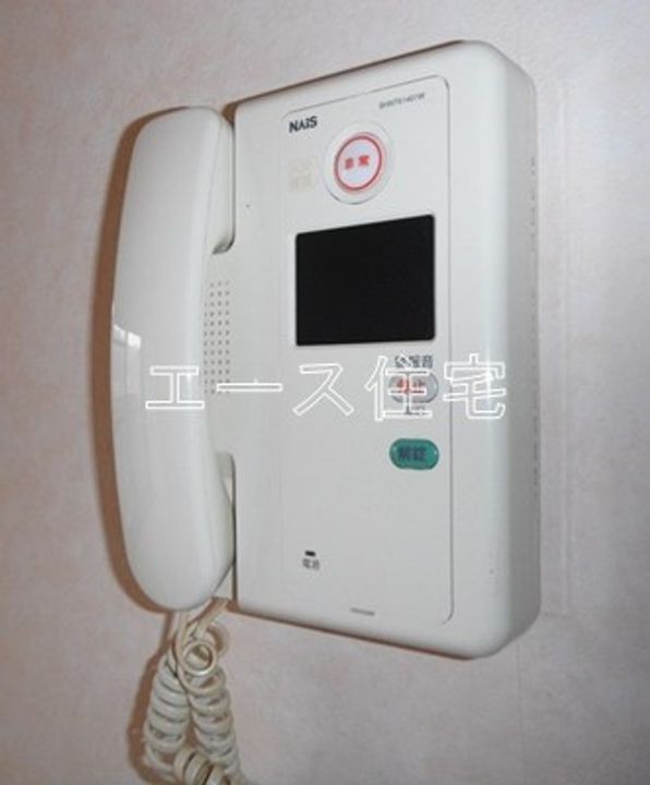 マルイマーガレットのその他画像