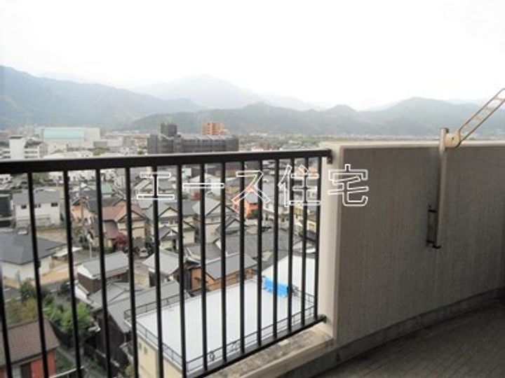 マルイマーガレットのその他画像