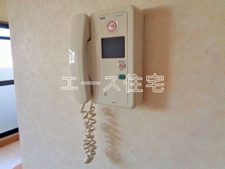 マルイマーガレットのその他画像