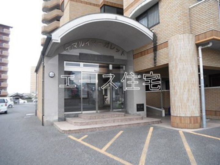 マルイマーガレットのその他画像